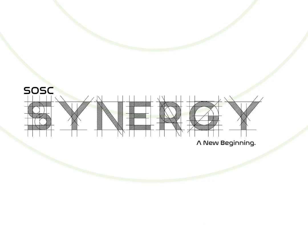 Synergy - Induction Programme
